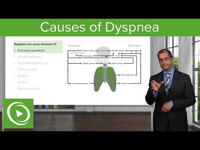 Causes of Dyspnea – Pulmonary Pathology | Lecturio