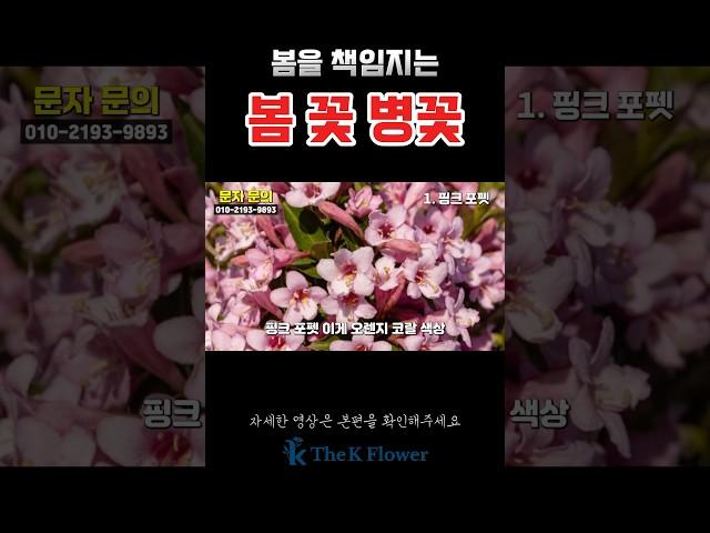 봄 꽃 병꽃을 더케이 야생화에서 20% 할인된 금액으로 만나보세요