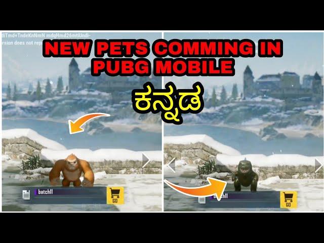 Pubg mobile new pets comming soon | pubg mobile new update leaks | pubg new pets