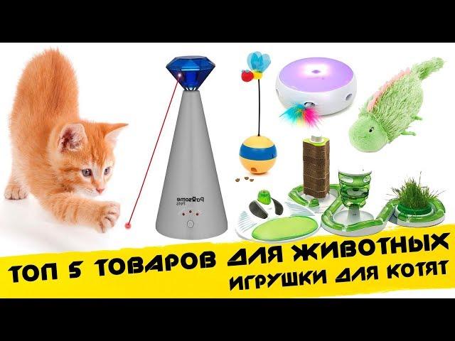  Топ 5 ИГРУШКИ ДЛЯ КОТОВ, КОШЕК И КОТЯТ / ТОВАРЫ ДЛЯ ЖИВОТНЫХ