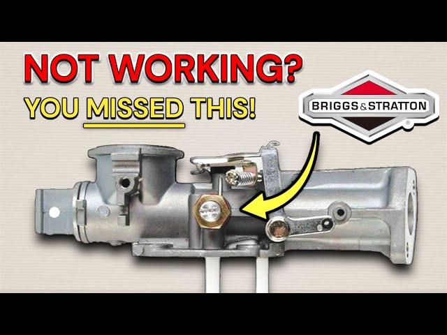 Briggs & Stratton Pulsa Jet Carburetor Service & Repair! (EASY DIY TUTORIAL)
