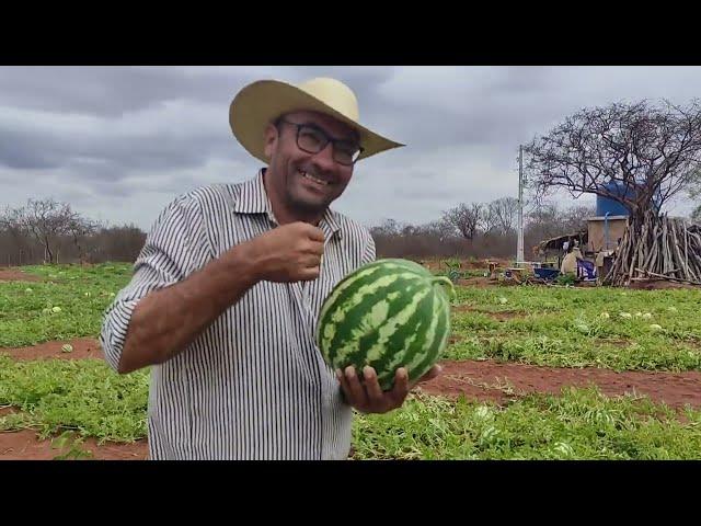 FORAM MOMENTOS DE ALEGRIA NO SERTÃO PERNAMBUCANO COM O REPÓRTER MATUTO E CANAL SERTÃO MAMOEIRO.