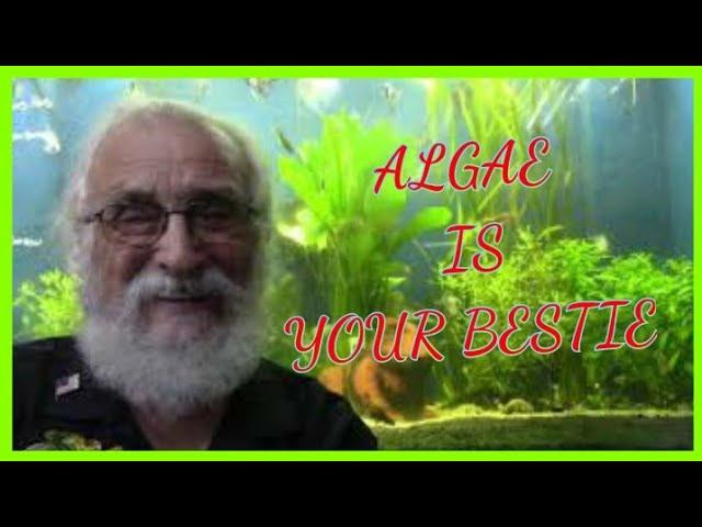 ALGAE IS YOUR BESTIE