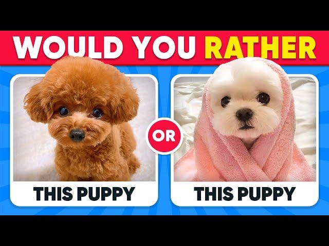 Would You Rather...? ANIMALS Edition  Quiz Kingdom