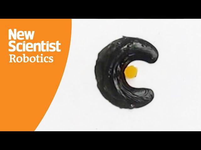 The magnetic slime robot that could retrieve accidentally swallowed objects