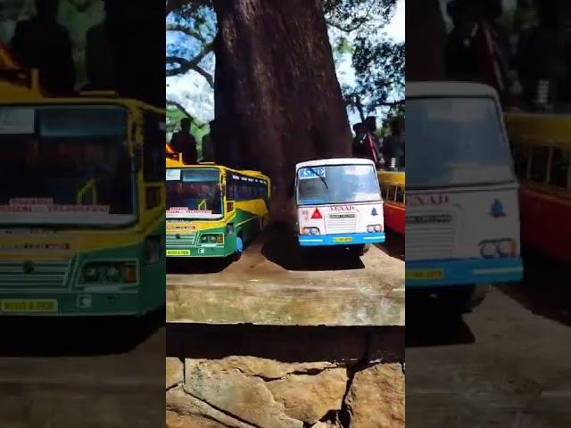 creative!!  miniature vehicles at trissur (M@miniature) [vandi maker Aghul]