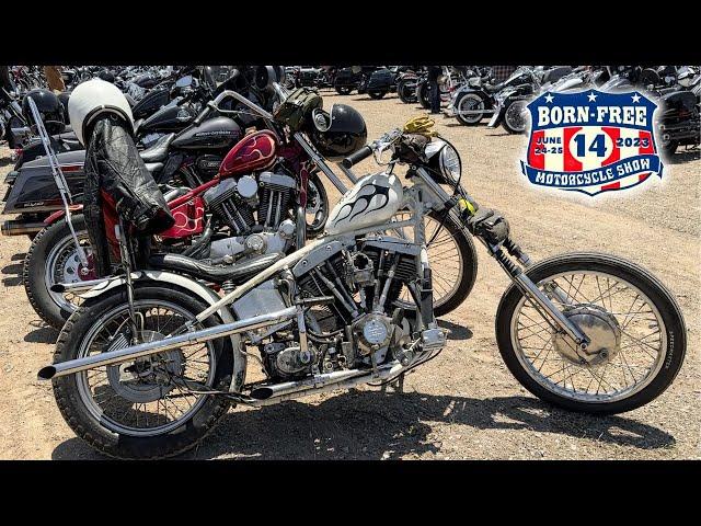 Born Free 14 Parking Lot Bikes