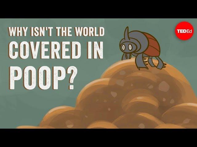 Why isn't the world covered in poop? - Eleanor Slade and Paul Manning