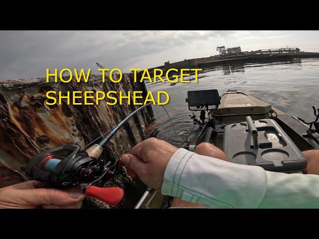 Sheepshead Catching Lessons! Use this 3 tips to catch monster slabs #fishing #Flounder #sheepshead