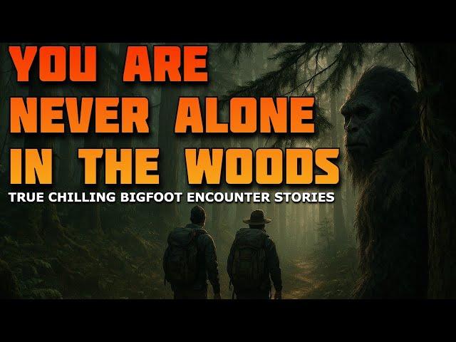 YOU ARE NEVER ALONE IN THE WOODS - TRUE CHILLING BIGFOOT ENCOUNTER STORIES