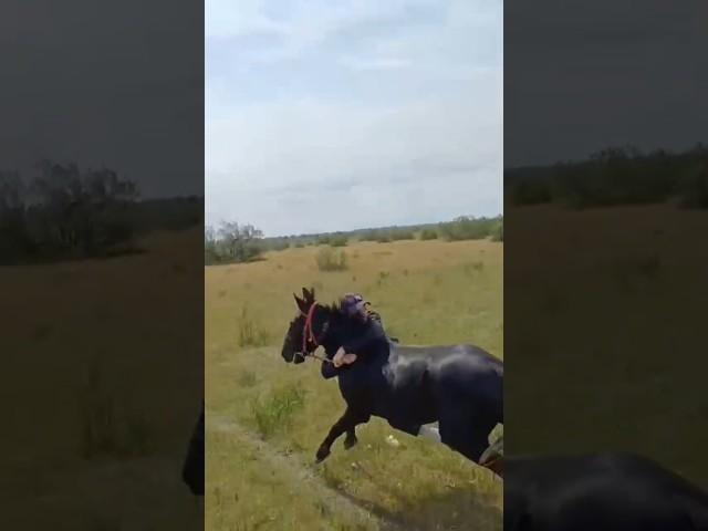 очень интересная прогулка на лошадях с братями #лошадки #horse