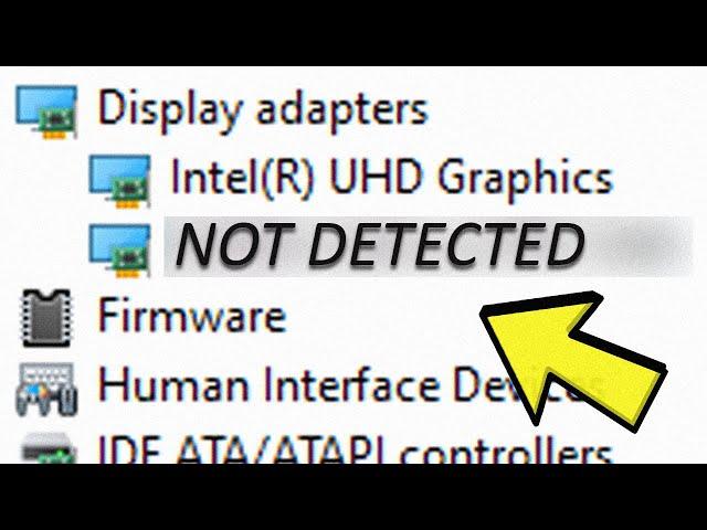 Nvidia Graphics Card Not Detected in Windows 11 [Easy Fix]