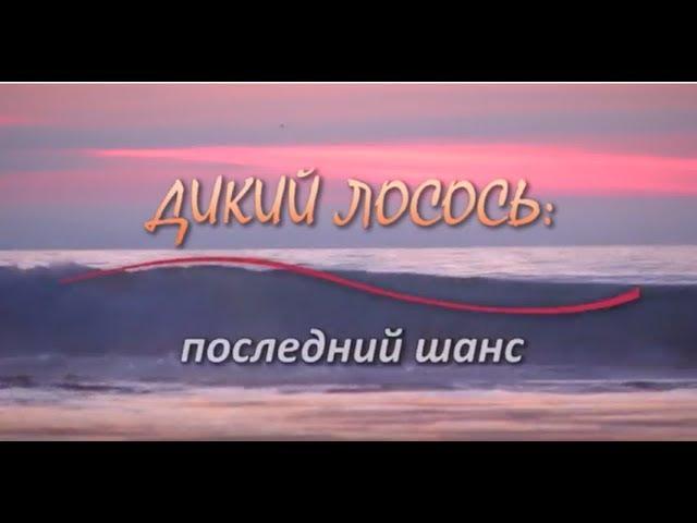 Фильм "Дикий Лосось: последний шанс"