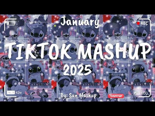 Tiktok Mashup January 2025 (Not Clean)