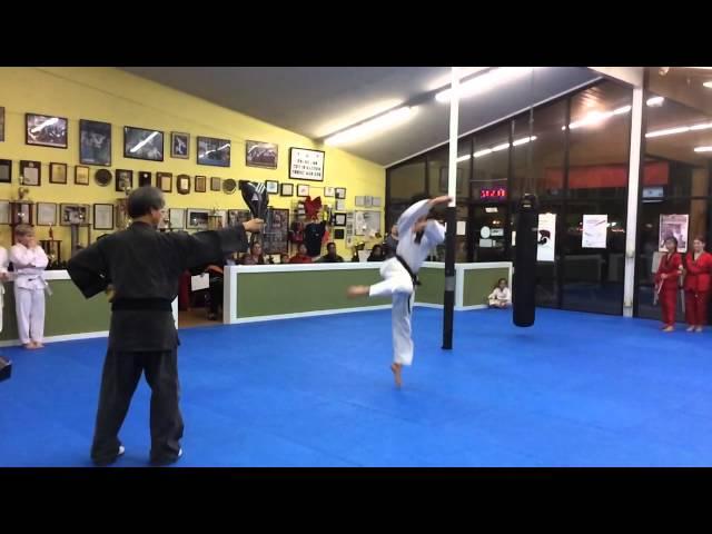 USMAC jump spin round house kick