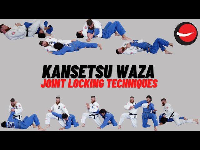 Kansetsu Waza || Joint Locking Techniques