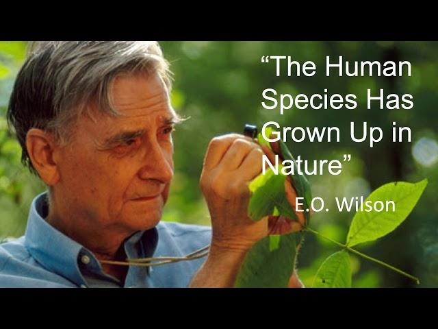 Biophilic Cities: Design for Planetary Health and Human Flourishing