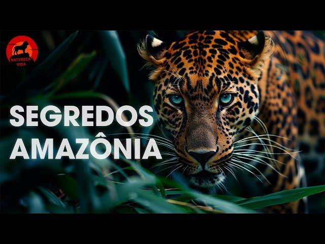 SEGREDOS DA AMAZÔNIA | Uma Aventura pela Selva Imponente | Documentários animais