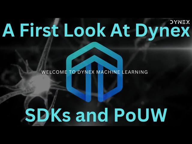 A first Look At Dynex SDKs & PoUW