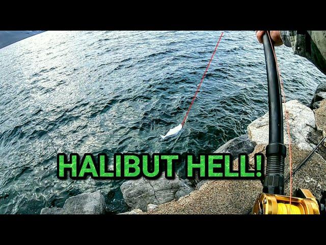 Hard going! Bad luck! And big fish! in arctic Norway!