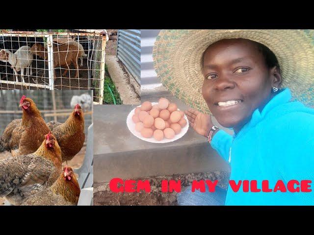 HOW I MAKE SIX FIGURES FROM my FARM business Monthly/village life 