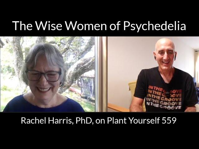 The Wise Women of Psychedelia: Rachel Harris, PhD, on PYP 559