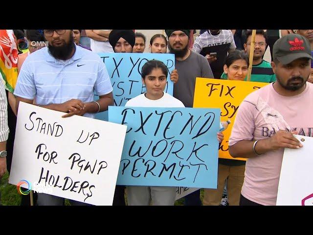 Over 70,000 international students in Canada face deportation | OMNI News Punjabi