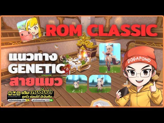 Ragnarok M: Classic - แนวทางไบโอ เจเน (Genetic) สายน้องแมว