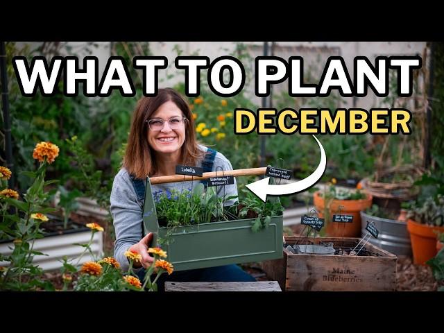 DECEMBER PLANTING GUIDE: Top Veggies, Flowers, and Herbs for Your Winter Garden