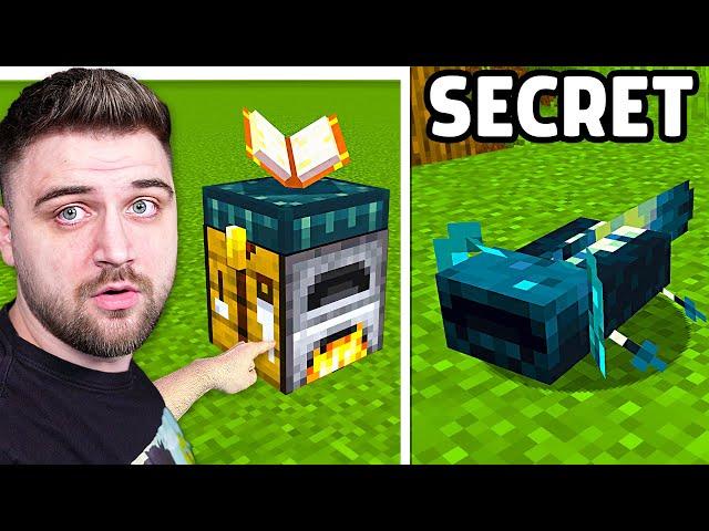 1000 SECRETE pe Minecraft !