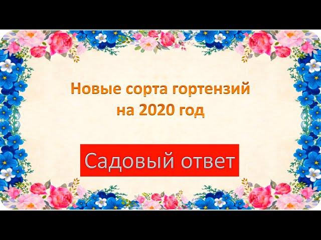 Новые сорта гортензий на 2020 год