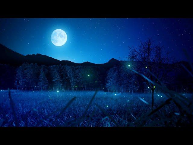 1 Hour Calming Sleep Music  Stress Relief Music, Insomnia, Relaxing Sleep Music (My Dream)