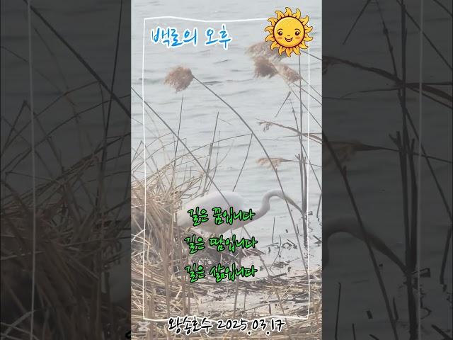 백로의 오후 #꿈 #땀 #삶