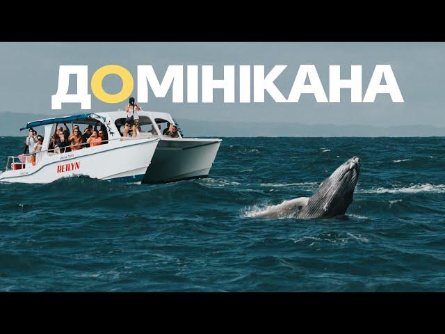 ДОМІНІКАНА | Горбаті кити і дикі пляжі. Подорож з минулого життя