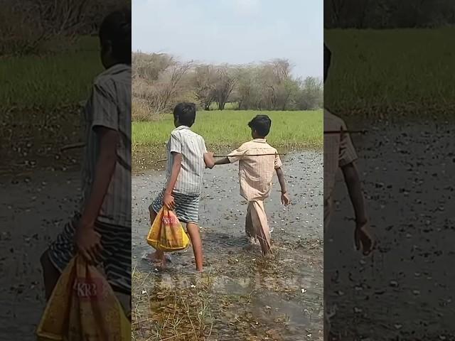 மொத்த மீனு இந்த கூட்டைக் குள்ளதான் இருக்கு#shorts# fishing video Anbu views