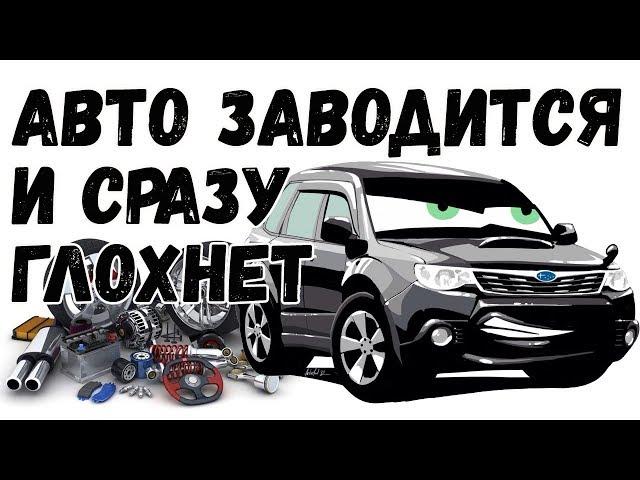 После запуска двигатель сразу глохнет? почему так происходит