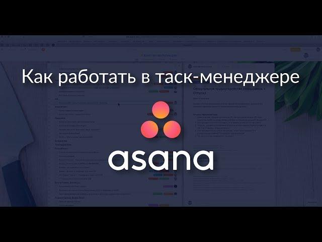 Управление проектами в Asana: подробный обзор таск-менеджера