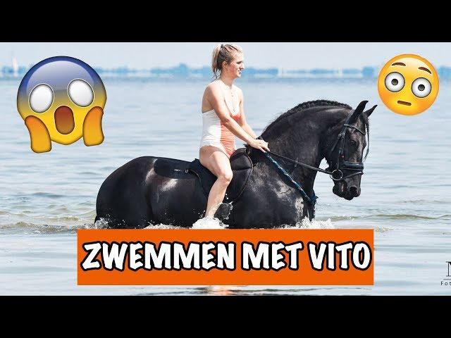 KAN VITO ZWEMMEN? | PaardenpraatTV