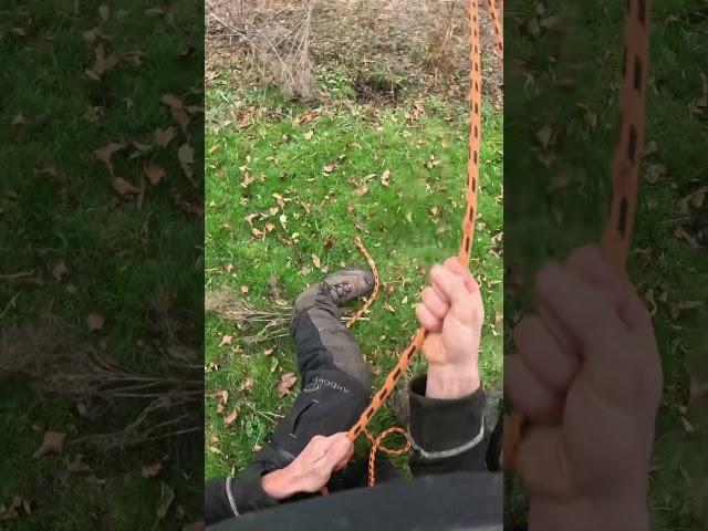 Rope trick when you have no wedge  #tree #rope #outdoors #skills #knots #diy #arb