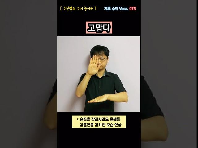 [ 기초 수어 Voca ] 075. 고맙다 - 수화배우기 [주넌쌤의 수어놀이터]