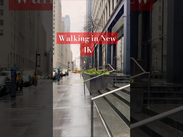 Experience the Best of New York City | Full Walking Tour 2025