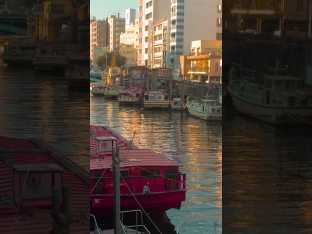 Canals of Tokyo | Amazing Japan Travel Adventure Documentary