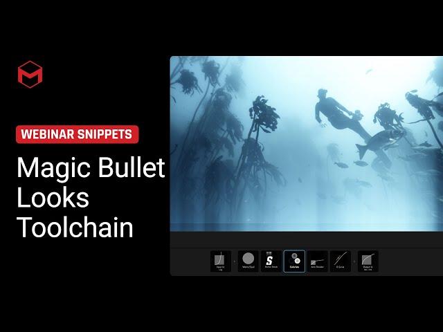Understanding Magic Bullet Looks Toolchain