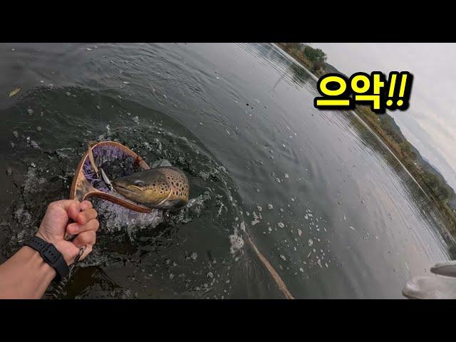 춘천에만 사는 물고기!! 엄청 큰 녀석이 물었다!! 내 인생 최대어~