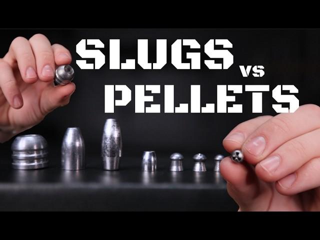 Pellets vs. Slugs | Which is Best For You?