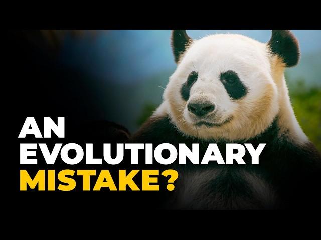 Why Pandas Are Impressively Bad at Existing