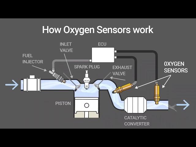 How O2 Oxygen Sensors Work Animation