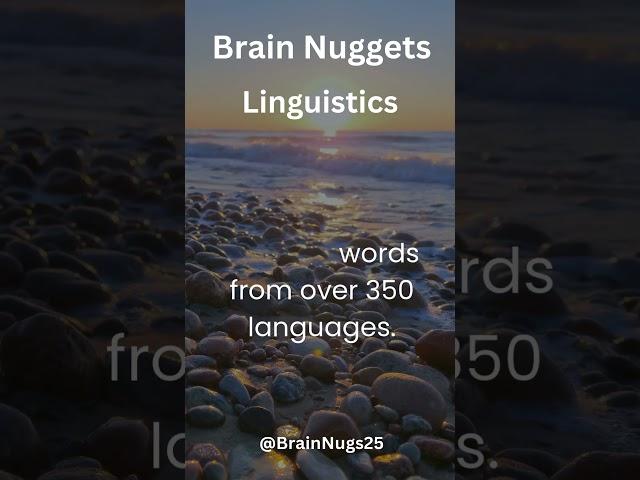 Brain Nugget - Linguistics