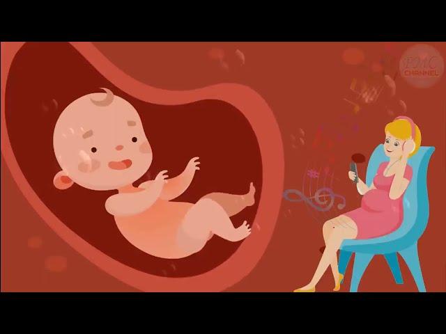  Pregnancy music for unborn baby  Brain development  Baby kick in the womb 