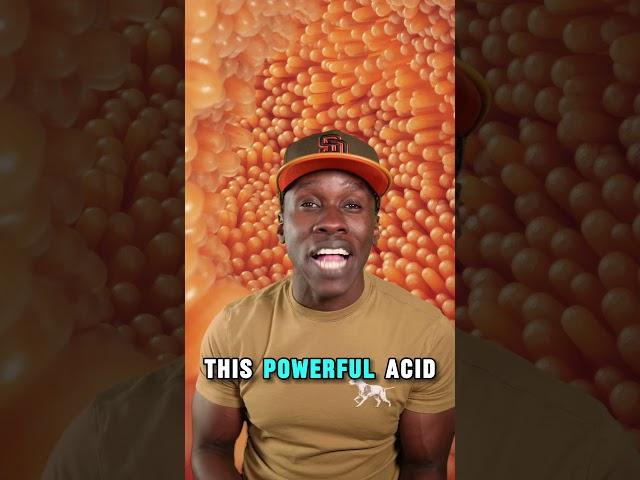 Stomach acid isn’t strong enough to damage your own tissue. Truth or Trash Episode 272 #biology